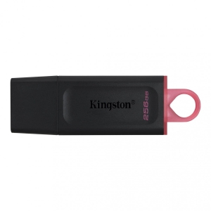 KINGSTON FLASH 256GB USB3.2 Gen1 DataTraveler Exodia (B+P)