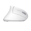 Mysz bezprzewodowa TRUST VERTO WIRELESS ERGO MOUSE WHT