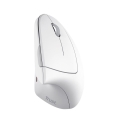 Mysz bezprzewodowa TRUST VERTO WIRELESS ERGO MOUSE WHT