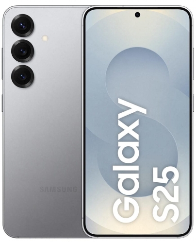 Samsung Galaxy S25 (S931) 5G DS 12/256GB Silver