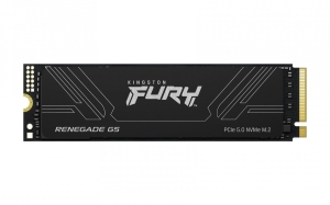 KINGSTON DYSK SSD SFYR2S/1T0 1TB FURY Ren. NVMe