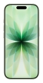 Apple iPhone 17 256GB Sage