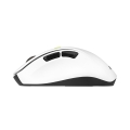 Mysz bezprzewodowa ASUS MD105 Wireless Mouse Volt Green 2400DPI Dual-mode wireless 2.4 GHz and Bluetooth