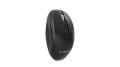 GEMBIRD MYSZ BEZPRZEWODOWA DUAL-MODE (2.4G + BT) 1600 DPI, 6 PRZYCISKÓW, KOLOR CZARNY
