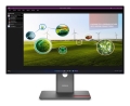 Lenovo ThinkVision P27q-40 27"QHD 120Hz 350nits AG USB HDMI DP Eclipse Black