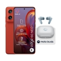 Motorola Edge 60 Neo 8/256GB Poinciana + Buds Moto
